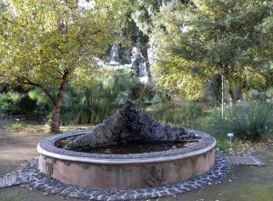Orto Botanico Catania - Fontana