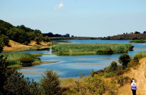 Lago Biviere Parco dei Nebrodi