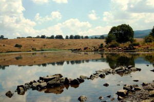 Lago Biviere Parco dei Nebrodi