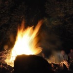 Orto dei semplici - canzoni d'autore intorno al fuoco - Foto di Alberta Dionisi