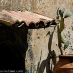 Savoca particolare del centro storico