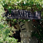 Savoca Bar Vitelli - Il Padrino