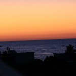 IMG_6317