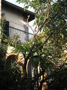 casa-demarata-bb-catania-giardino