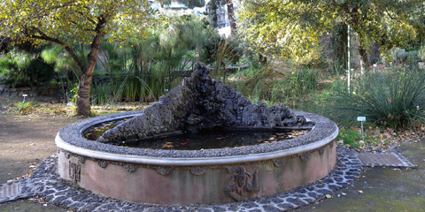 “Eco-In-Arte” laboratori dedicati all’ecologia, alla poesia, alle attività orticole. Orto Botanico di Catania