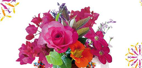 Civita in Fiore. L’Orto ritrovato