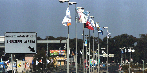 500 bandiere su “La Bellezza della Costituzione-150 anni Unità d’Italia”