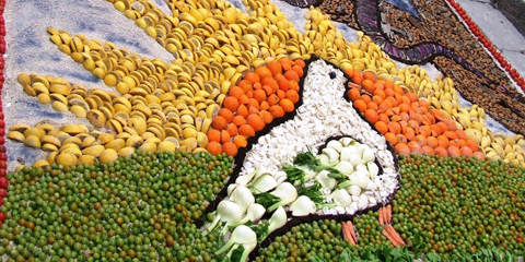 I mosaici vegetali della “Inverdurata 2011″ di Pachino