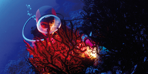 “Rassegna Internazionale di Attività Subacquee” a Ustica