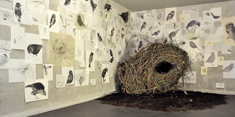 Asylum: tre artisti per ragionare intorno alla precarietà, alle radici, alla perdita e al volo