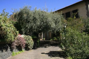 b&b catania