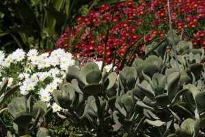 b&b catania