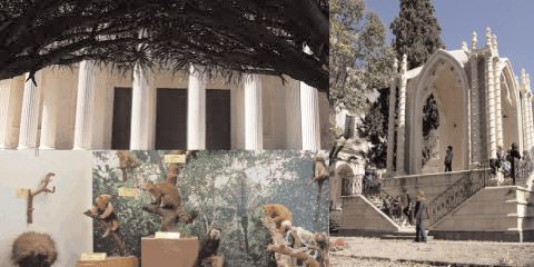 Percorsi museali a Catania: Orto Botanico, Museo di Zoologia (Casa delle Farfalle) e Monastero dei Benedettini