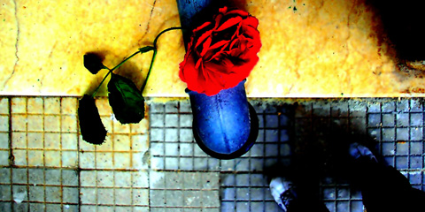 Loredana Vairo: i colori che muovono emozioni