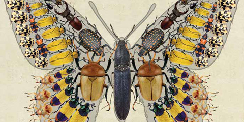 Le quattro verità, farsa di Marcel Aymé in scena a Teatroimpulso di Catania