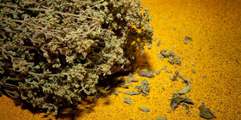 Festa dell’origano e dei sapori antichi di Sicilia