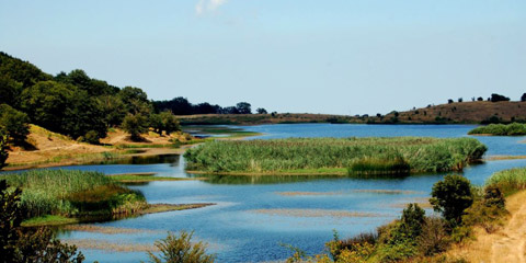 Cullati da un lago su un letto di foglie. Escursione nel parco dei Nebrodi.