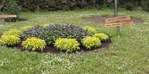 Il giardino delle piante aromatiche Artumata apre i cancelli per un incontro a tutta natura.