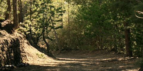 Caminanti opera itinerante collettiva direzione Etna.