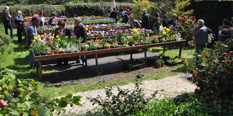 Ciuriciuri: mostra mercato di piante insolite e rare in vivaio.