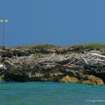 Eloro il mare dell'Oasi di Vendicari (Siracusa)