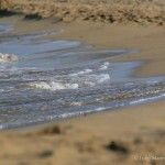 Eloro il mare dell'Oasi di Vendicari (Siracusa)