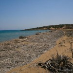 Eloro il mare dell'Oasi di Vendicari (Siracusa)