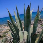 Eloro il mare dell'Oasi di Vendicari (Siracusa)