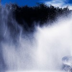vento d'acqua alberta dionisi