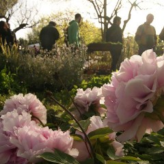 Primavera in #Sicilia: a #Valverde la rassegna #CiuriCiuri 2014.